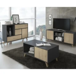 Meuble TV 140 Avec 2 Portes, WIND, Gris Anthracite, Portes Puccini, 140x40x57cm -Pas Cher Mobiliora Magasin meuble tv 10000375