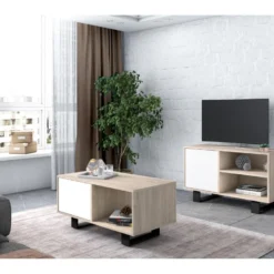 Meuble TV 100 1 Porte, Modèle WIND, Couleur Chêne-Blanche, 95x40x57cm. -Pas Cher Mobiliora Magasin meuble tv 11113247
