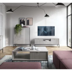 Meuble TV Avec 2 Portes, 1 Tiroir Et 1 Niche - Gris - LIOUBA De Pascal MORABITO -Pas Cher Mobiliora Magasin meuble tv 19208935