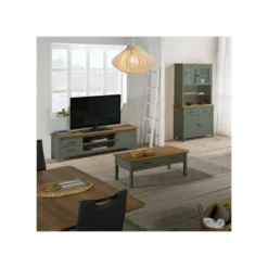 Meuble TV 1 Porte 2 Tiroirs Bois/Vert - DARANMI -Pas Cher Mobiliora Magasin meuble tv 19815617