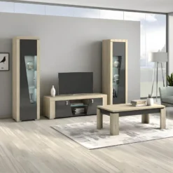 GUEST - Meuble TV 2 Portes Aspect Chêne Miel