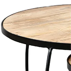 GIZEM - Lot De 2 Tables Basses Gigognes Métal Et Bois 6 GIZEM - Lot De 2 Tables Basses Gigognes Métal Et Bois -Pas Cher Mobiliora Magasin table basse 10009399