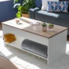 Table Basse Avec Plateau Relevable Blanche Et Bois HEDDA - HAPPY GARDEN -Pas Cher Mobiliora Magasin table basse 10779771