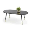 Table Basse 120 Cm X 60 Cm X 47 Cm - Noir/Or -Pas Cher Mobiliora Magasin table basse 14699795