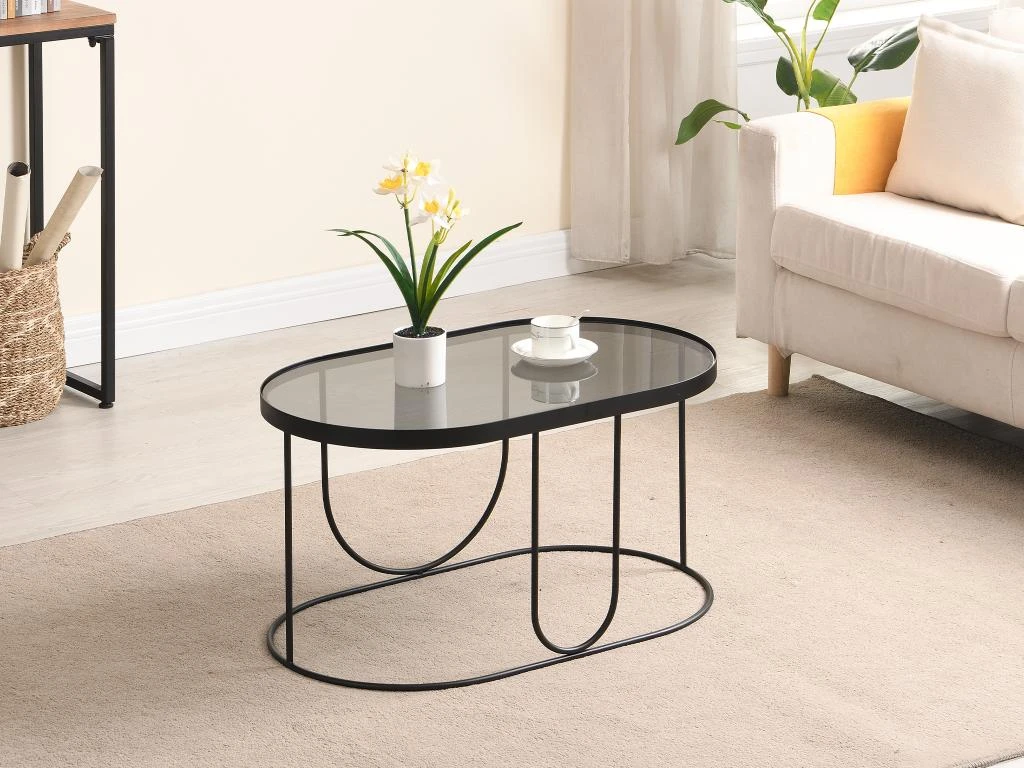 Table Basse En Métal Et Verre Fumé - Noir Et Transparent - PRETORIA 3 Table Basse En Métal Et Verre Fumé - Noir Et Transparent - PRETORIA