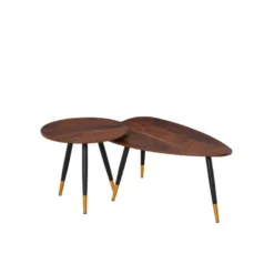 Lot De 2 Tables Basses BRANDO Marron