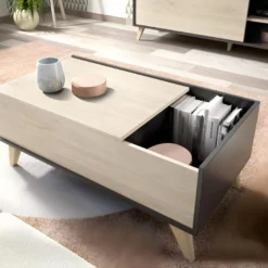 Table Basse Relevable KOLYMA - 1 Niche - Coloris : Chêne & Blanc -Pas Cher Mobiliora Magasin table basse 369699