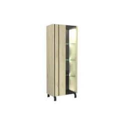 Vitrine 1 Porte à LEDs Chêne Clair/Ardoise - FOREST