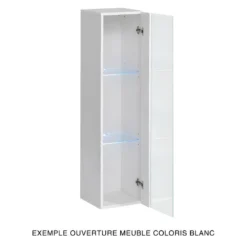 Vitrine Suspendue Noire Petit Modèle Avec 1 Porte Vitrée Et éclairage LED Inclus. Collection SWITCH. 9 Vitrine Suspendue Noire Petit Modèle Avec 1 Porte Vitrée Et éclairage LED Inclus. Collection SWITCH. -Pas Cher Mobiliora Magasin vitrine 22128403