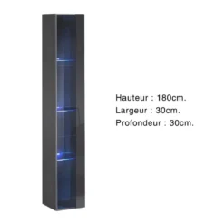 Vitrine Suspendue Grise Avec 1 Porte Vitrée Et éclairage LED Inclus. Collection SWITCH. -Pas Cher Mobiliora Magasin vitrine 22140409